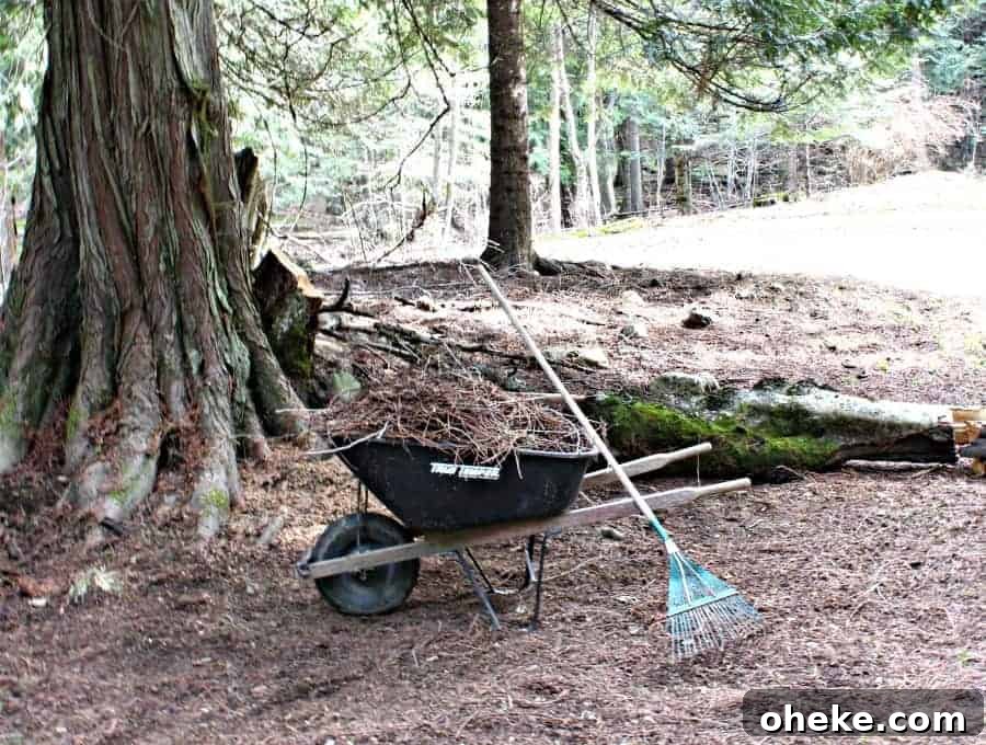 Signs of Spring Cleaning up the yard - signs of spring