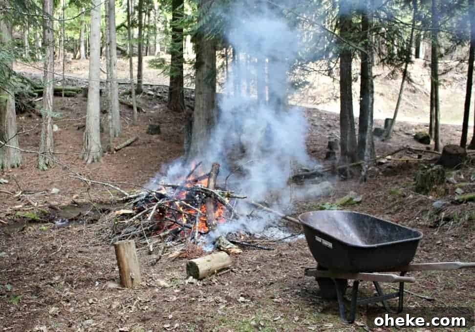 Signs of Spring Burning yard scraps - signs of spring
