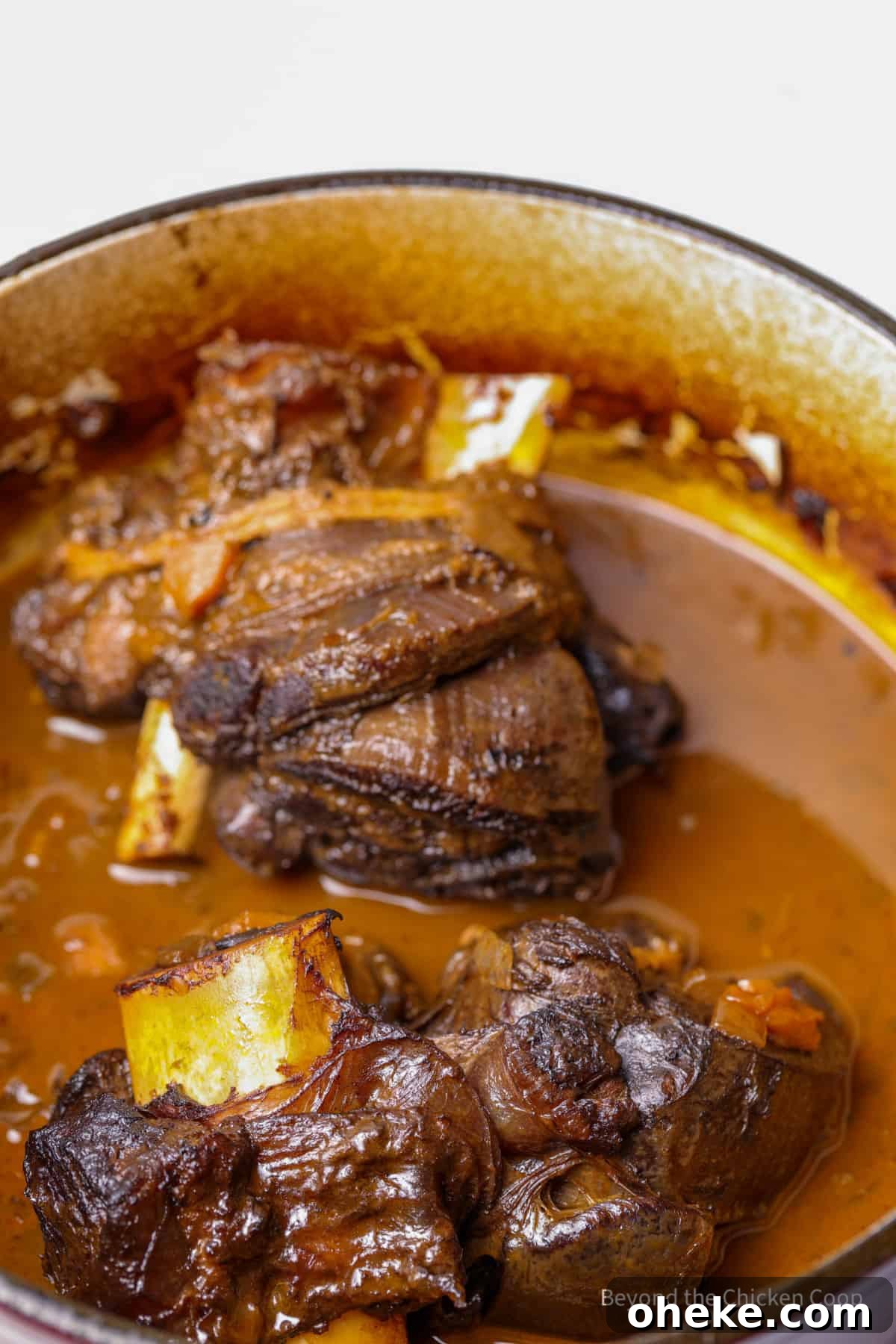 Cooked elk shanks in a dutch oven.