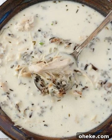 Closeup overhead photo of a bowl of creamy mushroom soup.