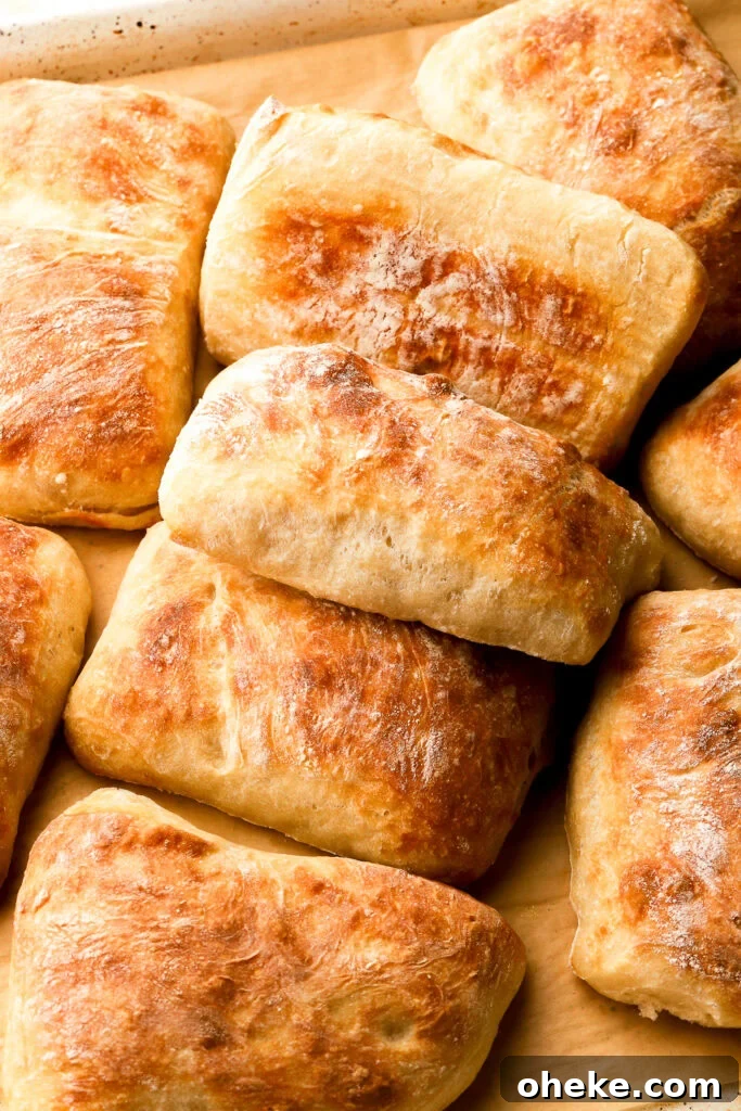 gorgeous fluffy ciabatta rolls on a baking sheet - baran bakery