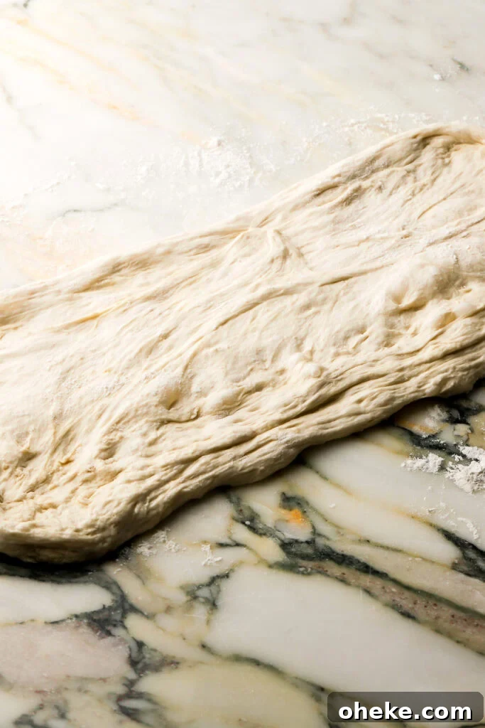 ciabatta dough stretched into a rectangle
