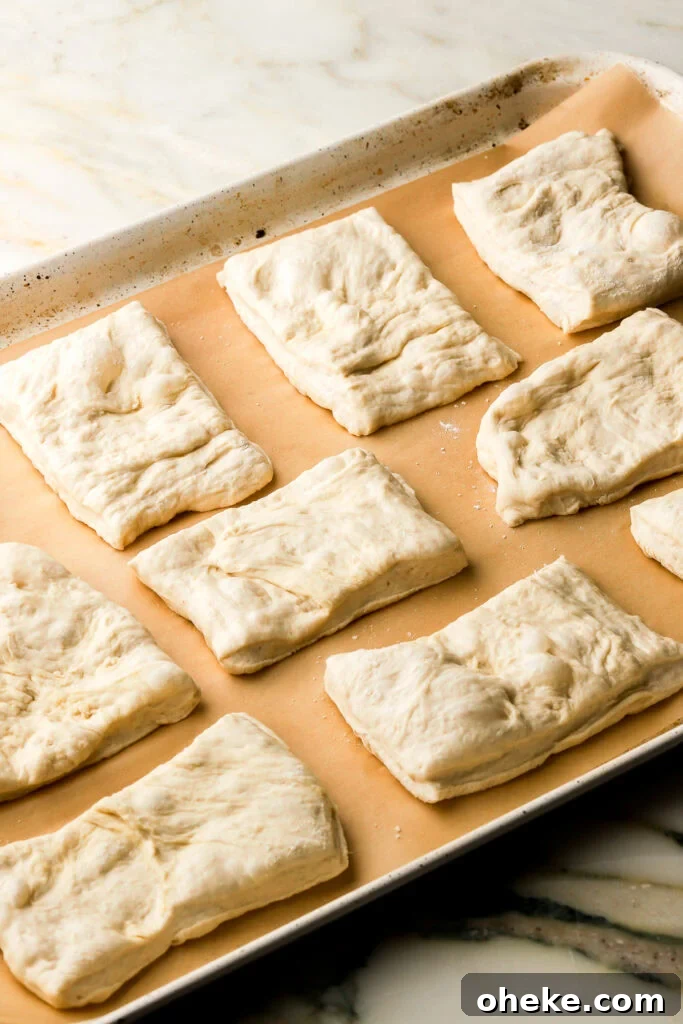 ciabatta dough on prepared pan before second proof