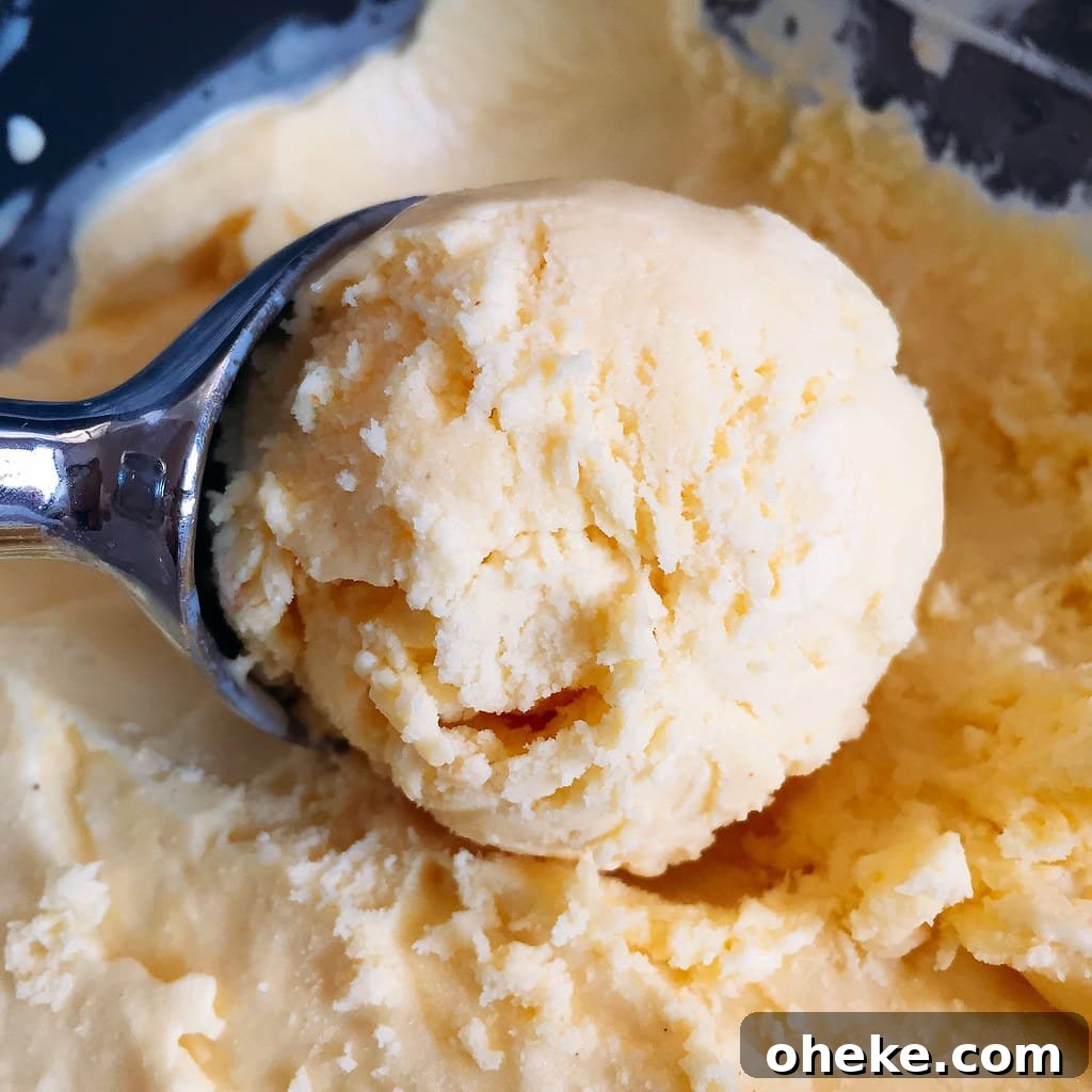 Custard Ice Cream
