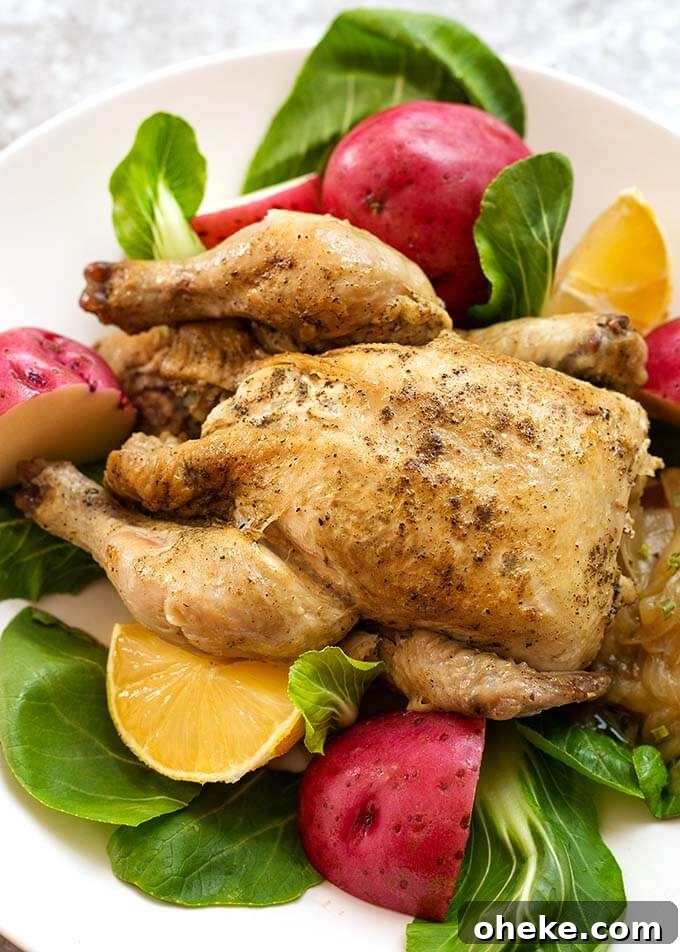Instant Pot Cornish Game Hens: Quick One-Pot Dinner 2 Cornish Game Hen on a white plate with potatoes and vegetables