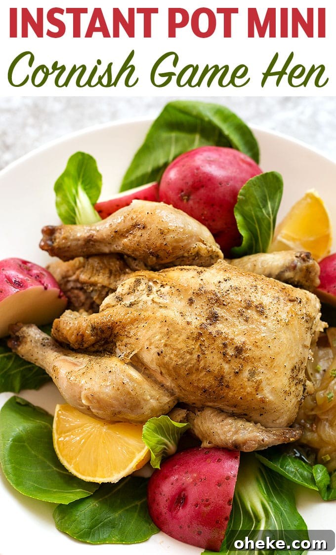 Much like a rotisserie chicken, Instant Pot Mini - Cornish Game Hen cooked in the 3 quart electric pressure cooker, comes out juicy and tender. A fast dinner with a smaller portion size. simplyhappyfoodie.com #instantpotcornishhen #instantpotgamehen