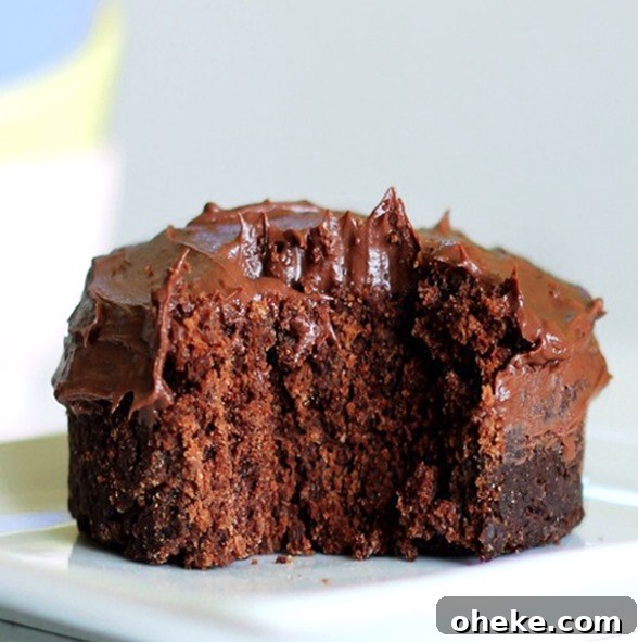 mug cake mug cake