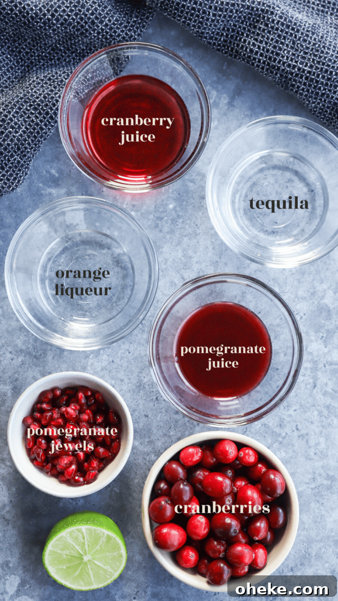 ingredients for Christmas margarita