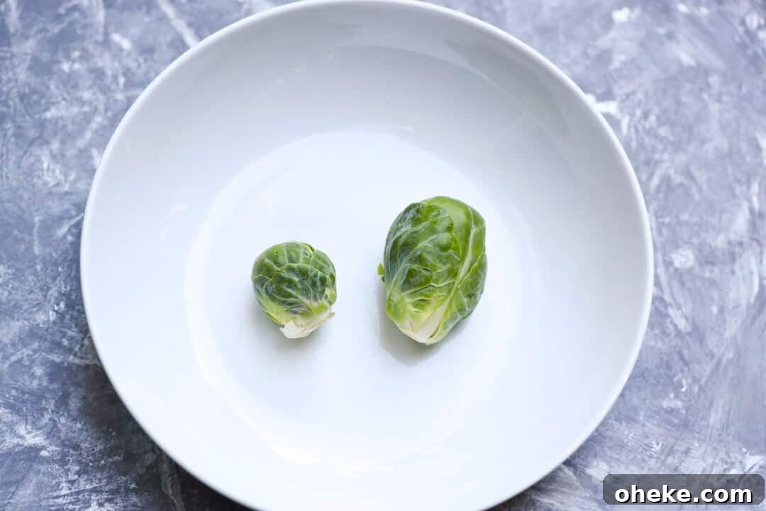 One small and one large Brussels sprout in a white dish to compare the size.