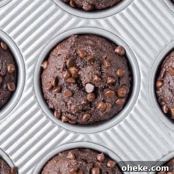 Moist Blueberry Bran Muffins with Honey and Cinnamon 14 Overhead view of a close up of a chocolate muffins with chocolate chips.
