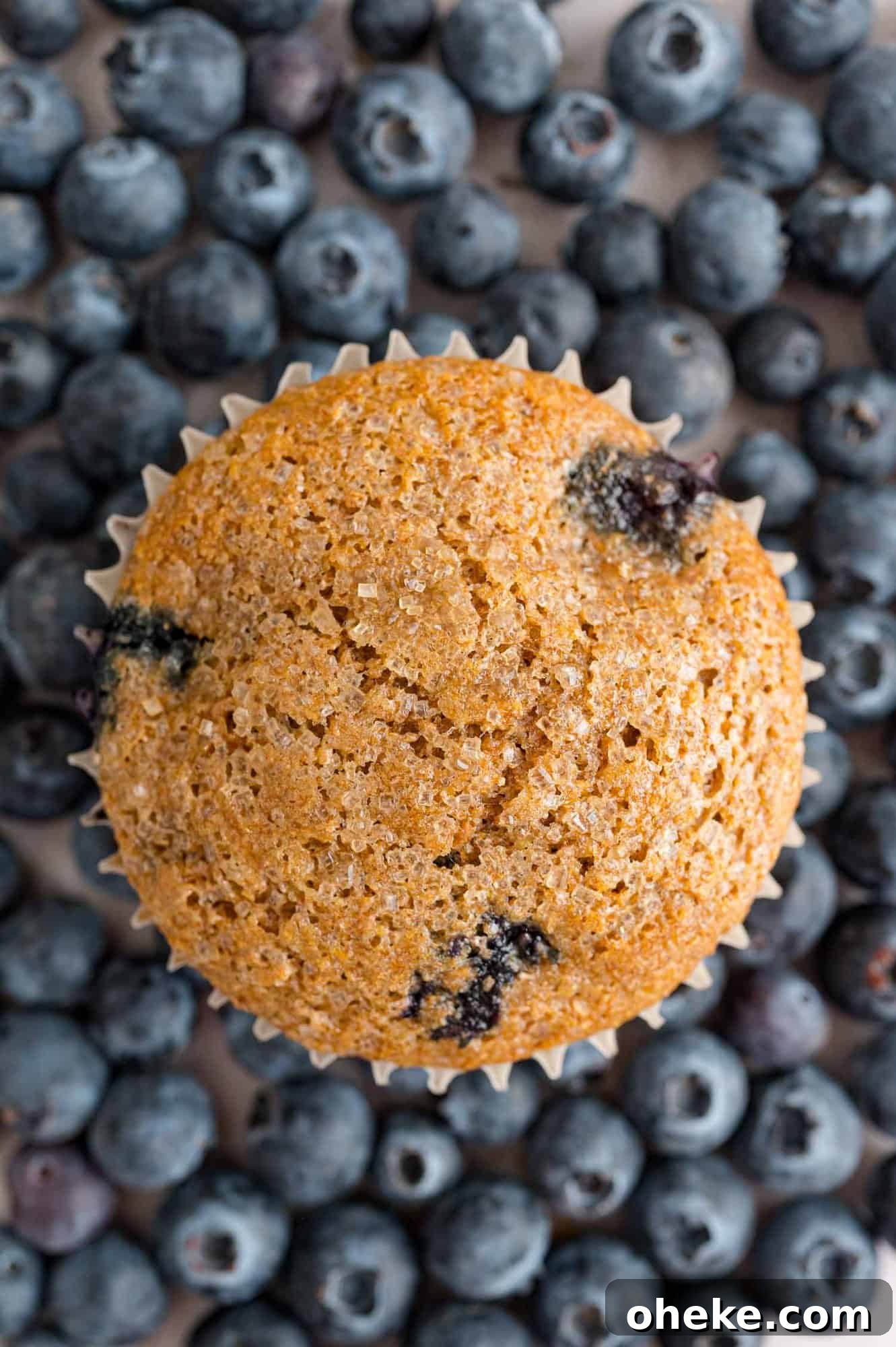bluberry-wheat-bran-muffins-open Bran muffin on top of a background of blueberries.
