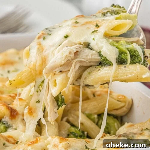 creamy chicken and broccoli alfredo casserole with melted mozzarella and penne pasta close up