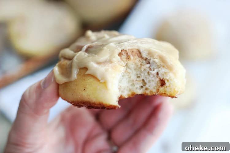quick 90 minute cinnamon roll with bite