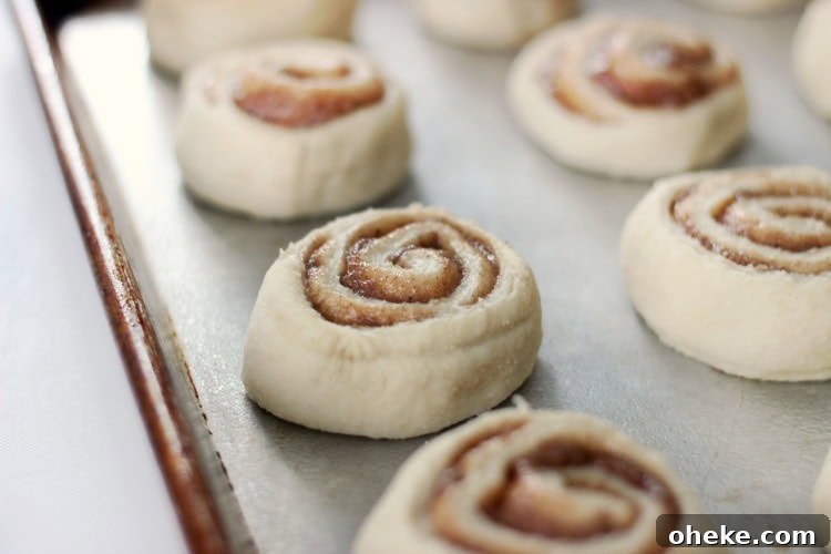 90 minute cinnamon rolls ready to bake