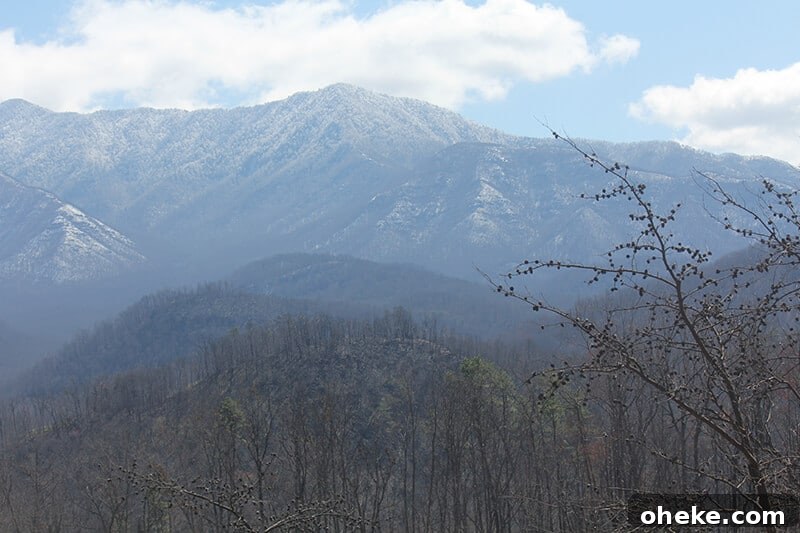 Visit Aiken, SC: Top Things to Do, Where to Stay, and Local Tips 13 The gorgeous Smoky Mountains from just outside Pigeon Forge.