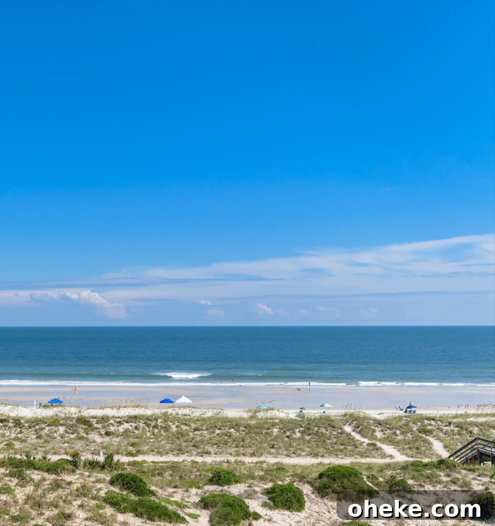 Visit Aiken, SC: Top Things to Do, Where to Stay, and Local Tips 15 View of the beach at Amelia Island.