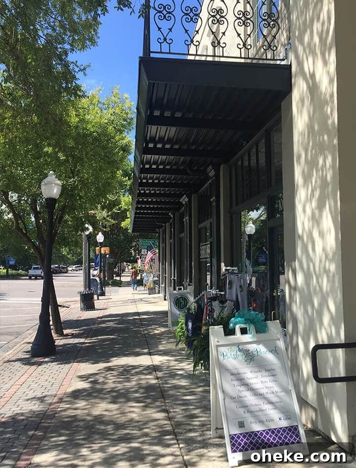 Visit Aiken, SC: Top Things to Do, Where to Stay, and Local Tips 5 View of a street with shops and street lamps in downtown Aiken, SC.