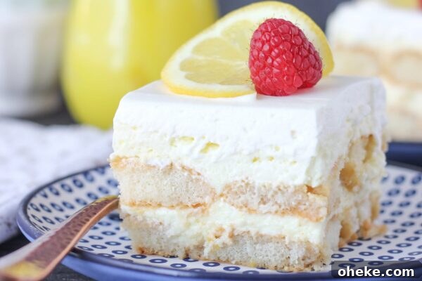 9 Refreshing No-Bake Summer Desserts You Can Make Fast 3 img 6003 2