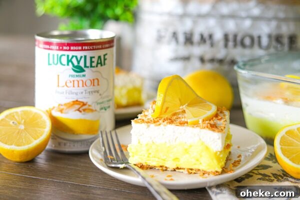 9 Refreshing No-Bake Summer Desserts You Can Make Fast 5 img 6003 4