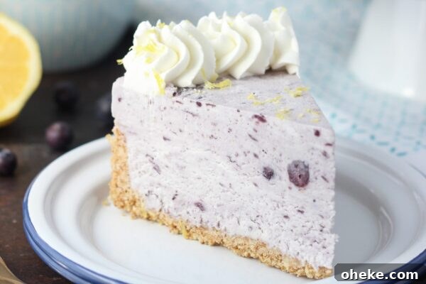 9 Refreshing No-Bake Summer Desserts You Can Make Fast 10 img 6003 9