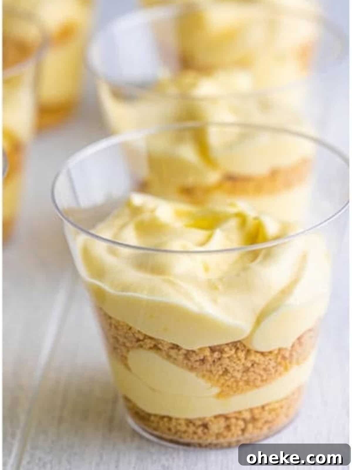 Chocolate Sand Pudding Cups Recipe for Kids' Parties 8 Sand pudding cups layered with cookie crumbs and pudding.