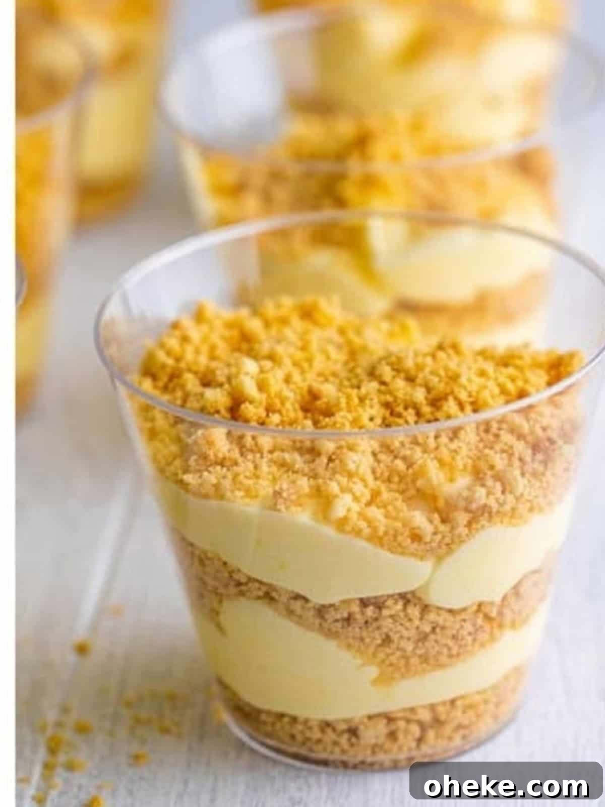 Chocolate Sand Pudding Cups Recipe for Kids' Parties 9 Sand pudding cups topped with golden cookie crumbs.