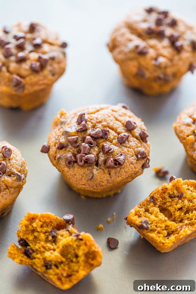 Mini Pumpkin Chocolate Chip Muffins. 