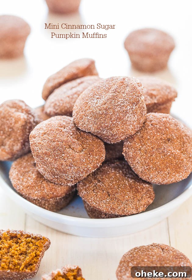 Mini Cinnamon Sugar Pumpkin Muffins. 