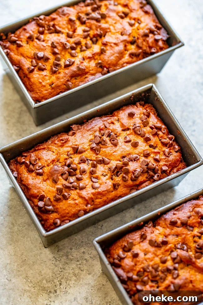 Three loaves of freshly baked banana bread with chocolate chips in loaf pans.