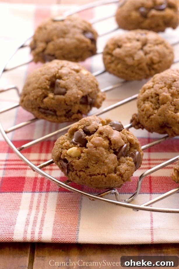 Peanut Butter Chocolate Granola Cookies Peanut Butter Chocolate Granola Cookies