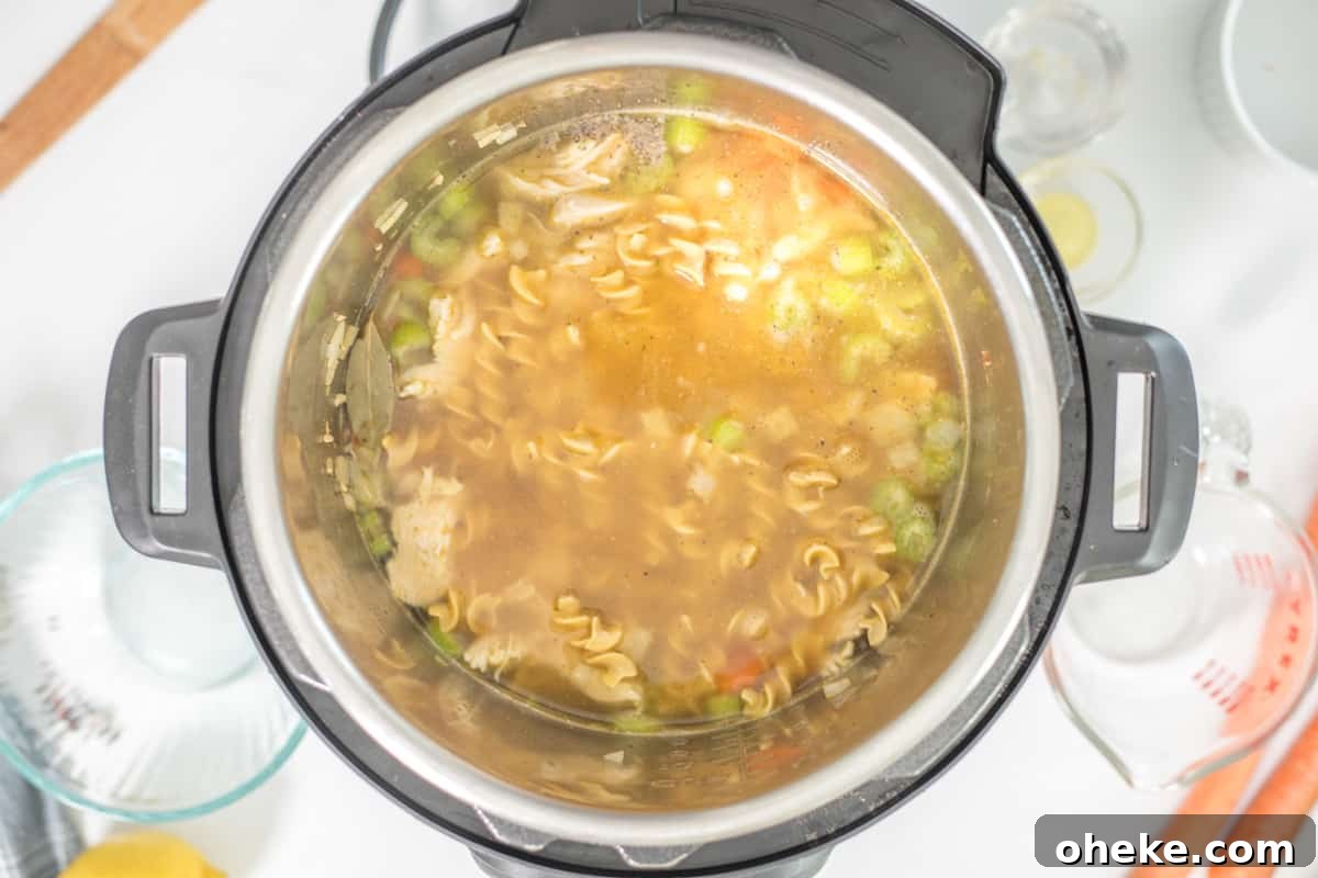 Ingredients for turkey noodle soup inside inner pot of instant pot prior to pressure cooking.
