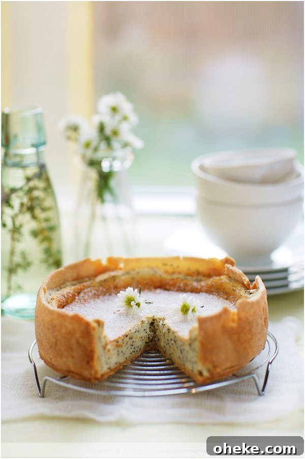 My Dad’s Classic Favorite: The Dessert He Loved Most 2 lemon poppyseed yogurt tart