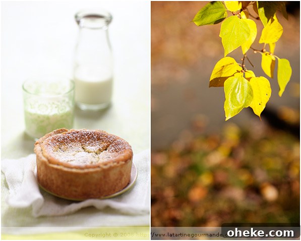 My Dad’s Classic Favorite: The Dessert He Loved Most 6 lemon poppyseed yogurt tart