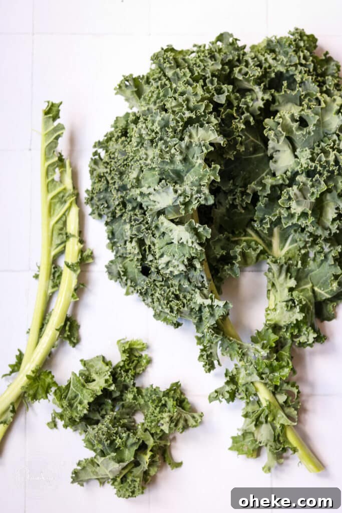curly kale on white background
