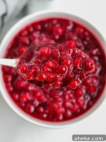 Close up of lingonberry sauce on a spoon.