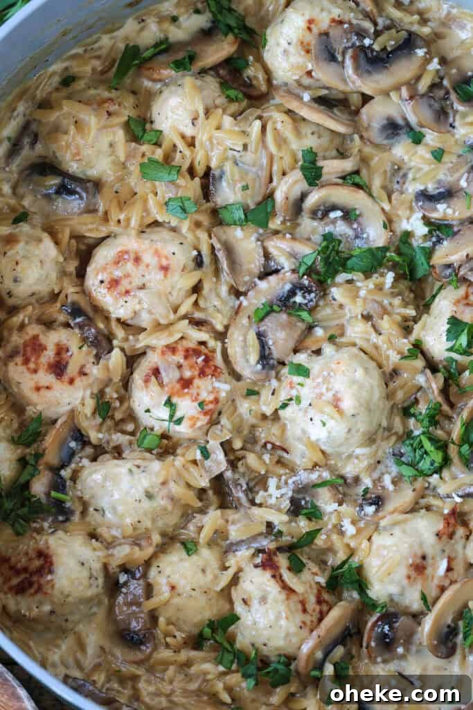 skillet with mushroom orzo and chicken meatballs
