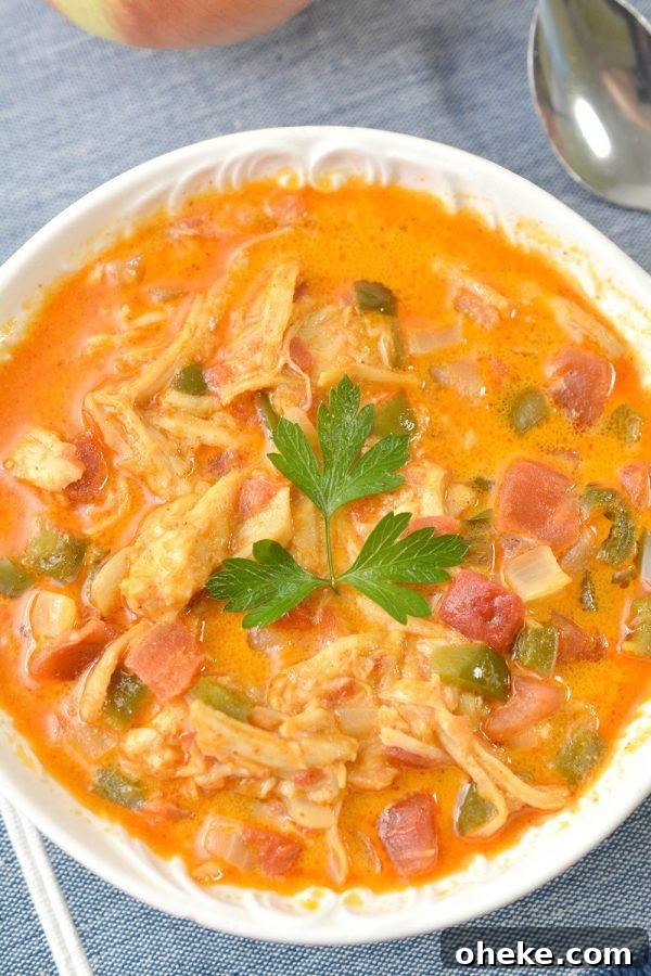 Low-Carb Chicken Enchilada Soup Recipe for Keto Diet 2 low carb chicken soup