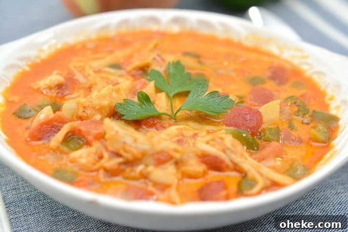 Low-Carb Chicken Enchilada Soup Recipe for Keto Diet 3 img 8748 2