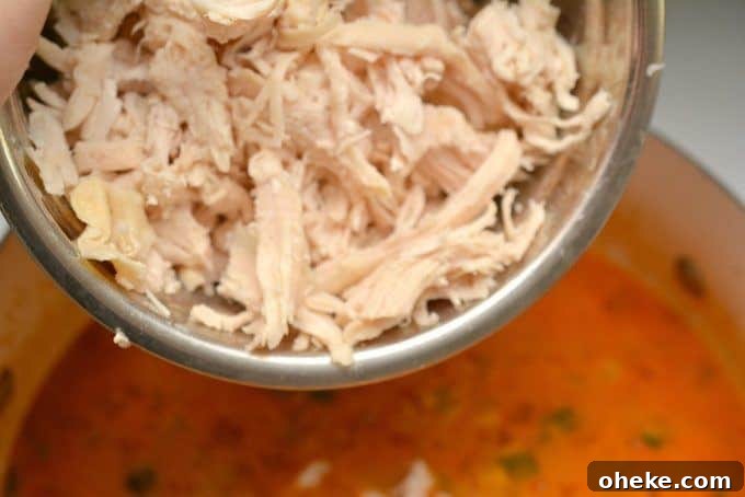 Low-Carb Chicken Enchilada Soup Recipe for Keto Diet 8 img 8748 7