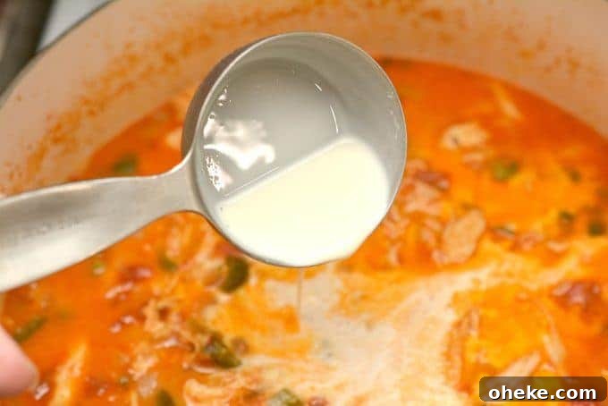 Low-Carb Chicken Enchilada Soup Recipe for Keto Diet 9 img 8748 8