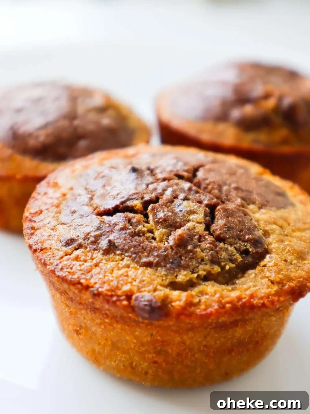 Flourless Marble Oatmeal Muffins with Swirled Chocolate and Vanilla 2 Flourless oatmeal marble muffins, gluten-free and tasty! Made with simple ingredients, this easy healthy muffin recipe is great for snacks or dessert!