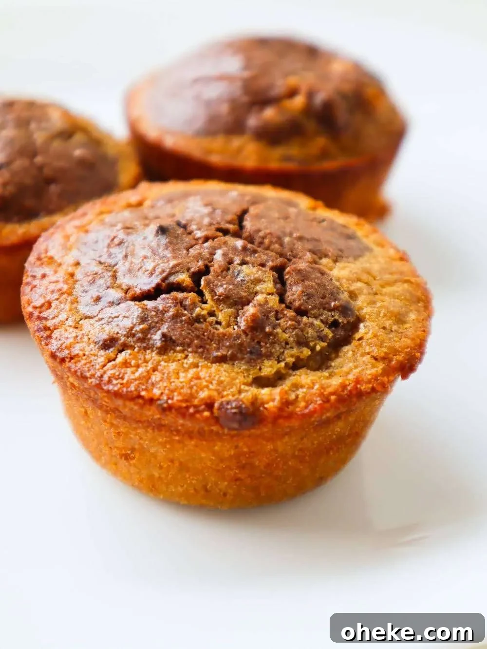 Flourless Marble Oatmeal Muffins with Swirled Chocolate and Vanilla 7 Flourless oatmeal marble muffins, gluten-free and tasty! Made with simple ingredients, this easy healthy muffin recipe is great for snacks or dessert!