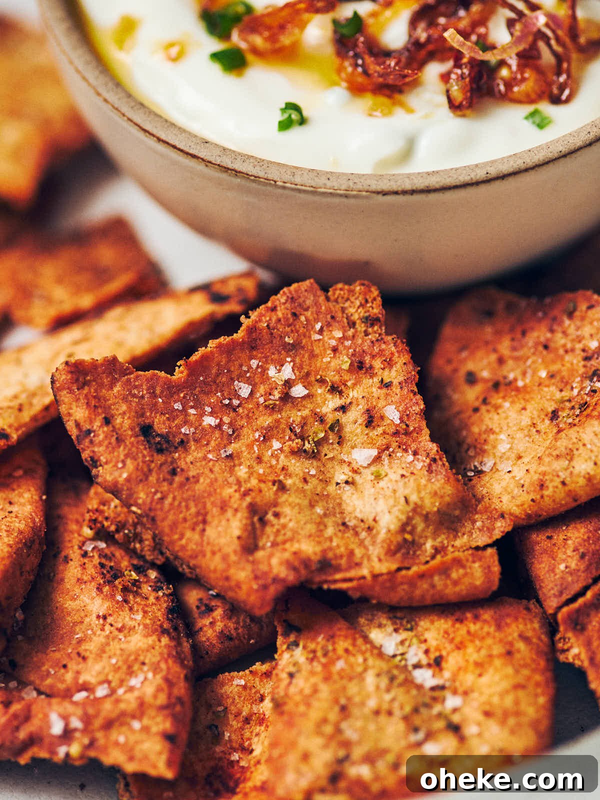 A close up of an air fryer pita chip seasoned with oregano and salt, with a small bowl of Greek yogurt dip in the background.