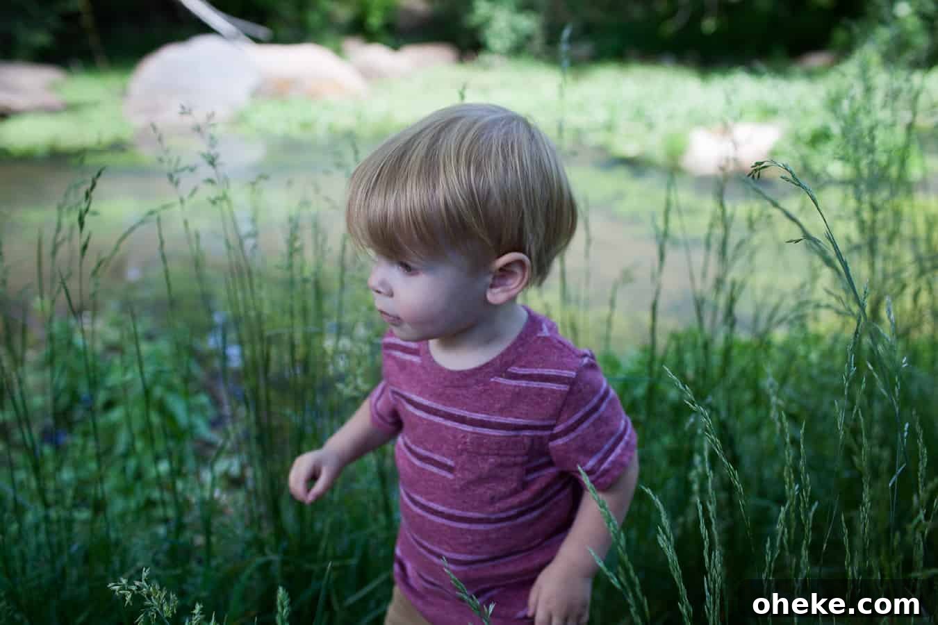 Creating Lasting Memories with Your Toddler: Fun Activities & Tips 6 Making memories with a young boy near a pond.