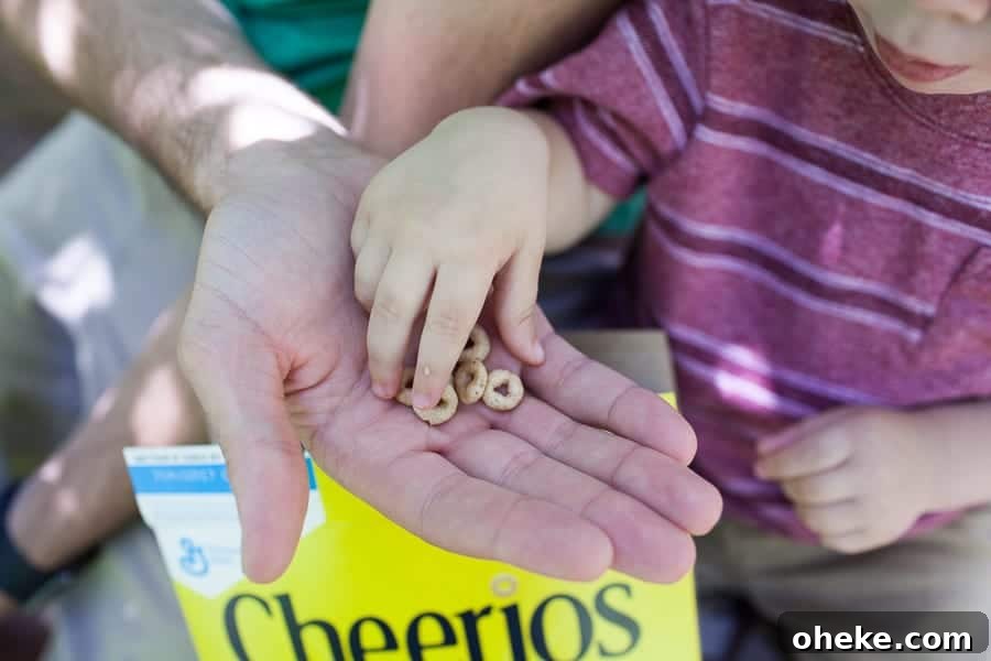 Creating Lasting Memories with Your Toddler: Fun Activities & Tips 8 Making Memories with a Toddler, a child is holding a box of cheerios.