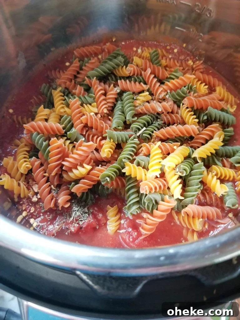 Instant Pot Chicken Marinara Rotini  dry noodles 