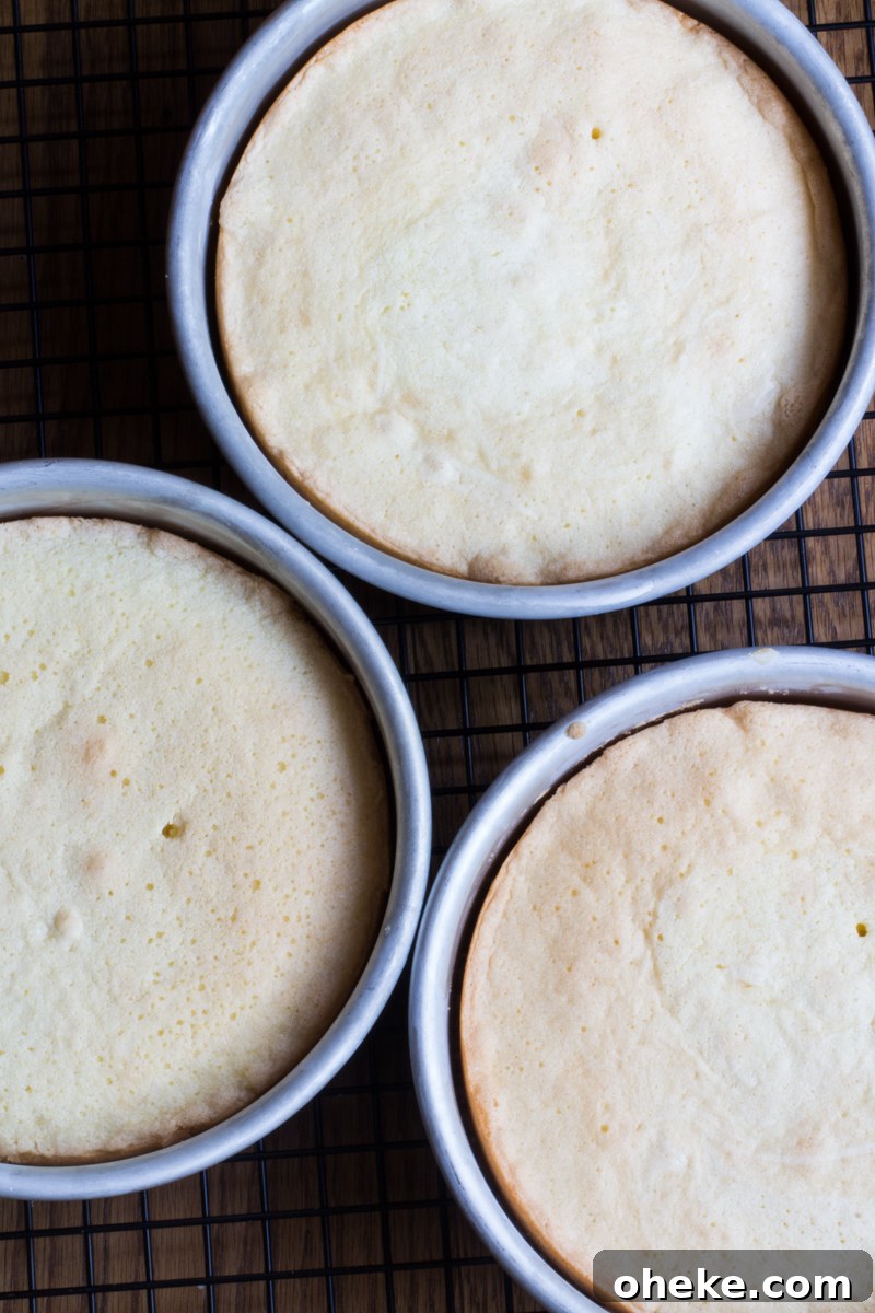 danish-layer-cake-layer-pans