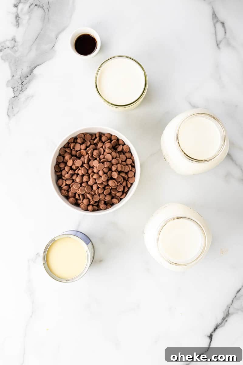 ingredients for slow cooker hot chocolate