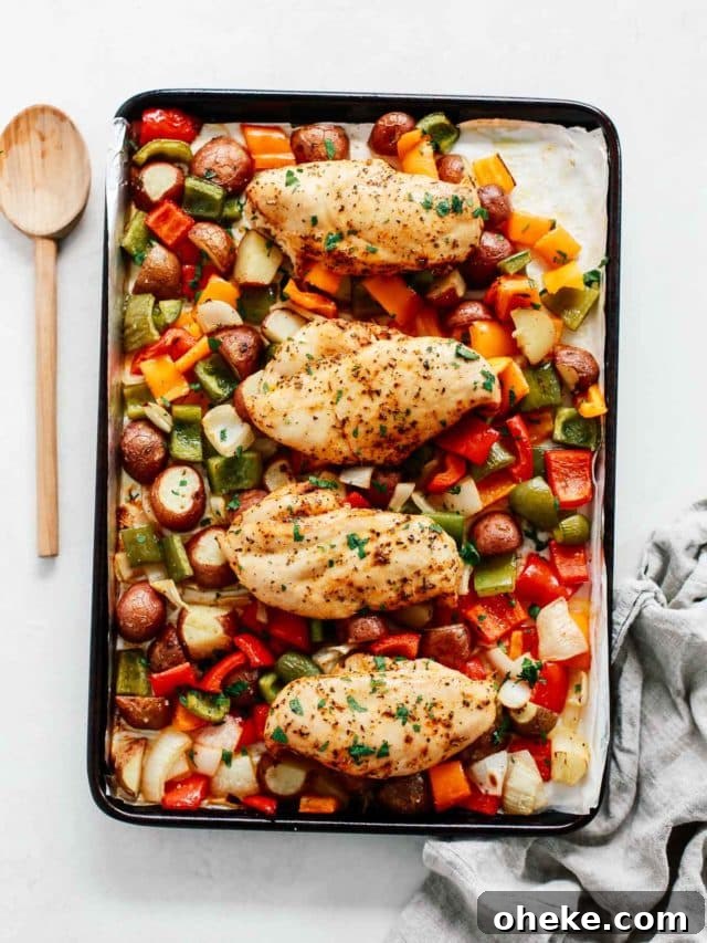 overhead view of chicken breast with veggies in a baking sheet
