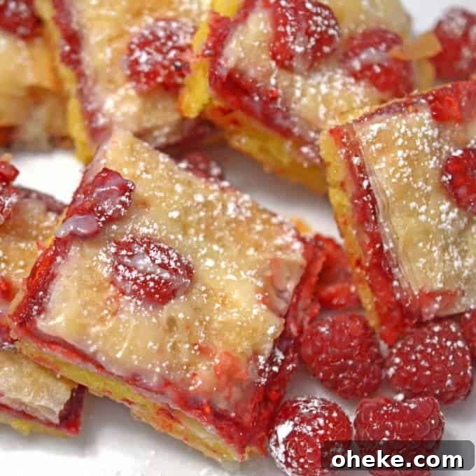 A close up of Raspberry Brownie Baklava.